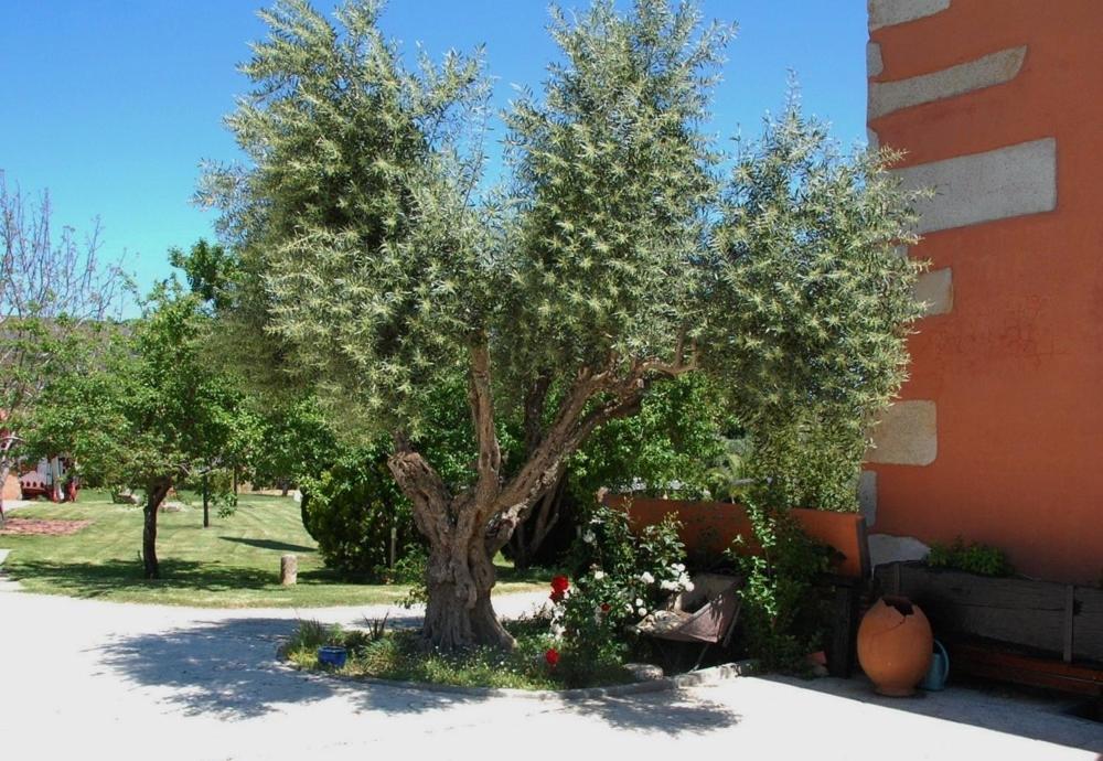 Posada Tresmentiras Aldeanueva del Camino Exterior foto